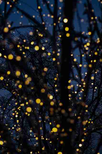 暗网禁地全站架构反推｜封锁机制变化趋势暗含规则更新