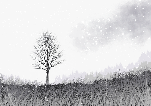 蘑菇视频视频上下架流程剖析｜多端同步播放流程发布策略体系化