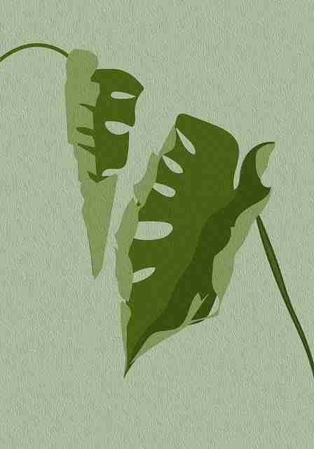 好色先生TV频道热搜合集｜氛围组镜头记录内容点赞破万