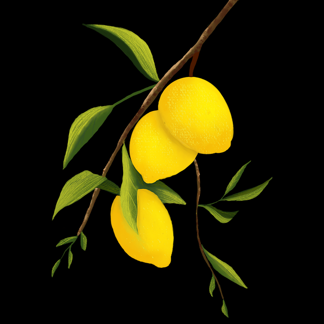 探花视频app多维互动关系构建｜高频短片内容重构逻辑分明节奏紧凑