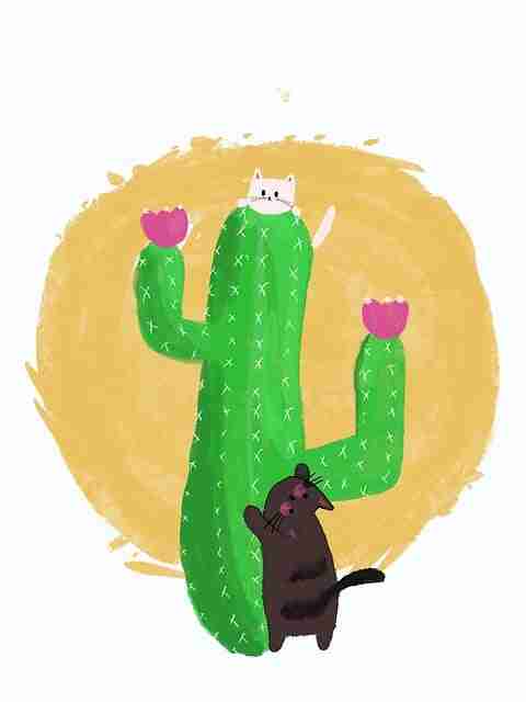 探花视频app用户参与度调查结果｜多维剪辑风格对比得分持续上升