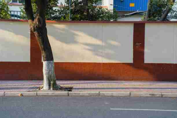 探花片段分析报告发布｜情绪表达片段评测用户讨论持续升温