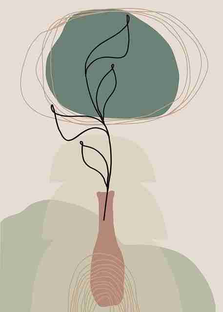 探花视频会员独享内容｜情感实验记录专区受热捧