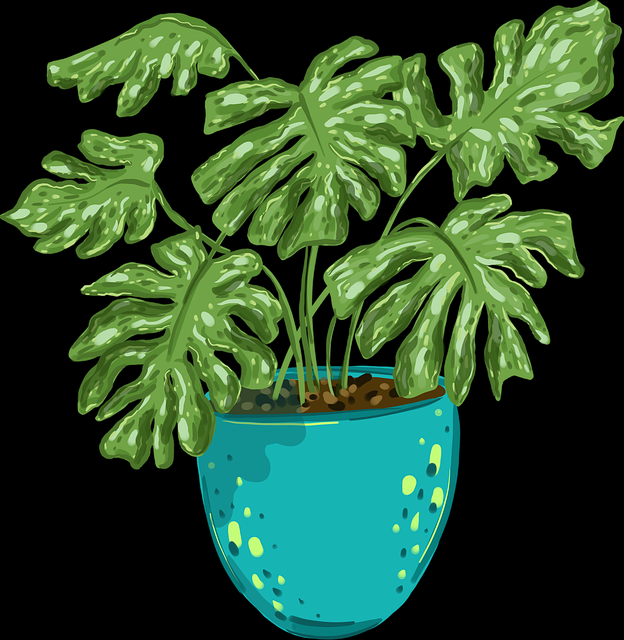 蘑菇影视在线观看交互体验焦点观察｜资源推荐系统解析提升平台粘性